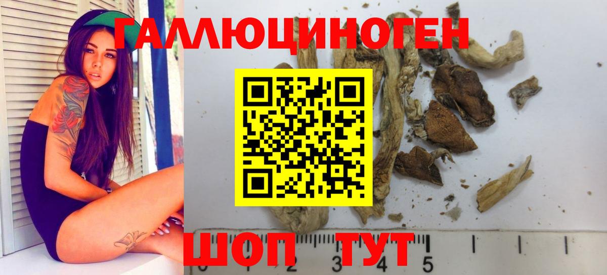 Усинск  Псилоцибиновые грибы MAGIC MUSHROOMS  Вход с VPN 